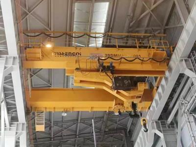 巴林電廠項(xiàng)目130t橋式起重機(jī)